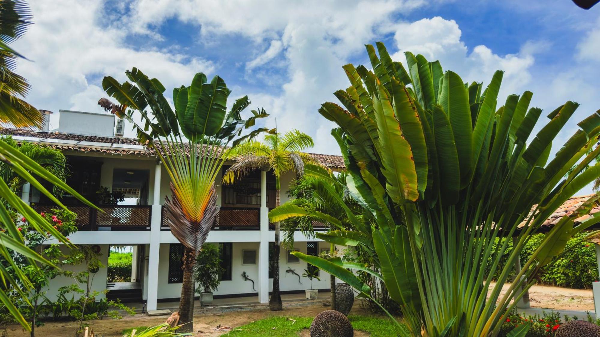 Hotel Casa Acayu São Miguel dos Milagres Esterno foto