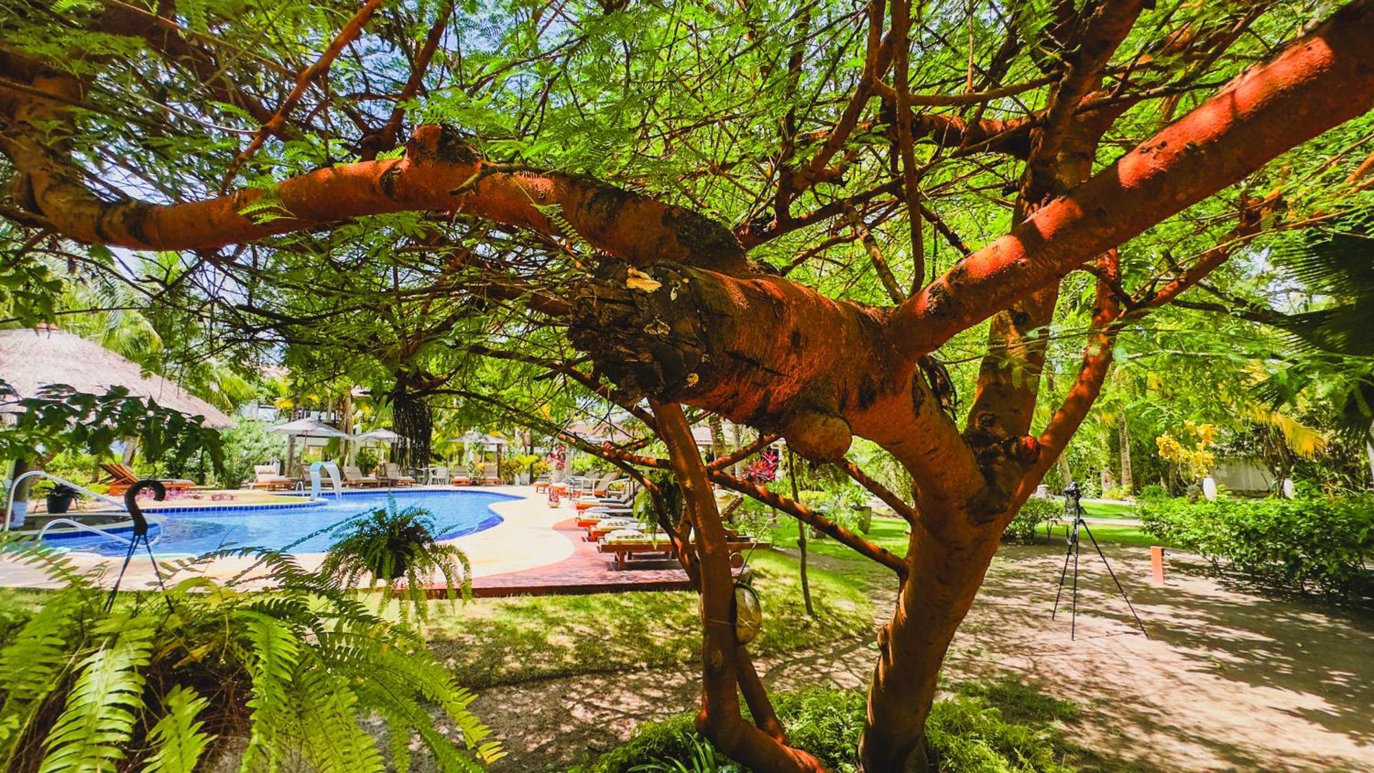 Hotel Casa Acayu São Miguel dos Milagres Esterno foto